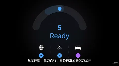 2026年九月：深圳新鹏城客场对决山东泰山，9月5日终极大战直播指南